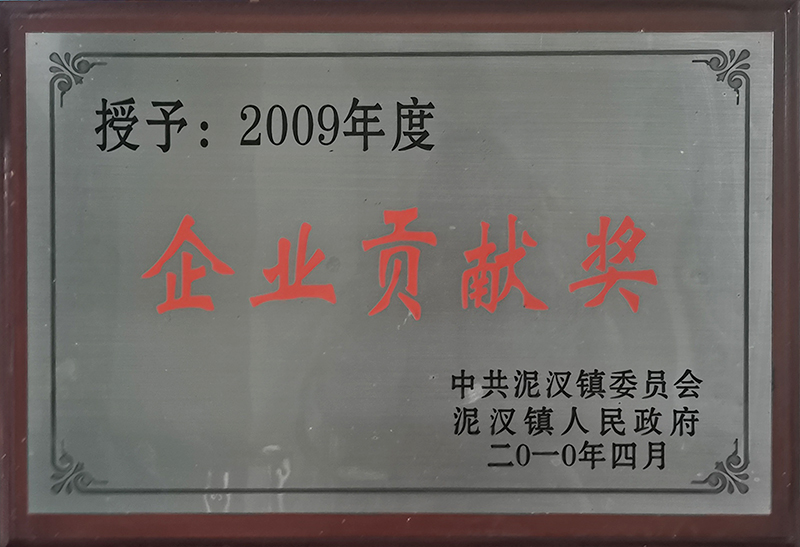 企業(yè)貢獻(xiàn)獎(jiǎng)