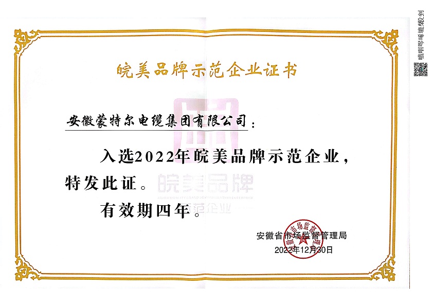 皖美品牌示范企業(yè)證書(shū)